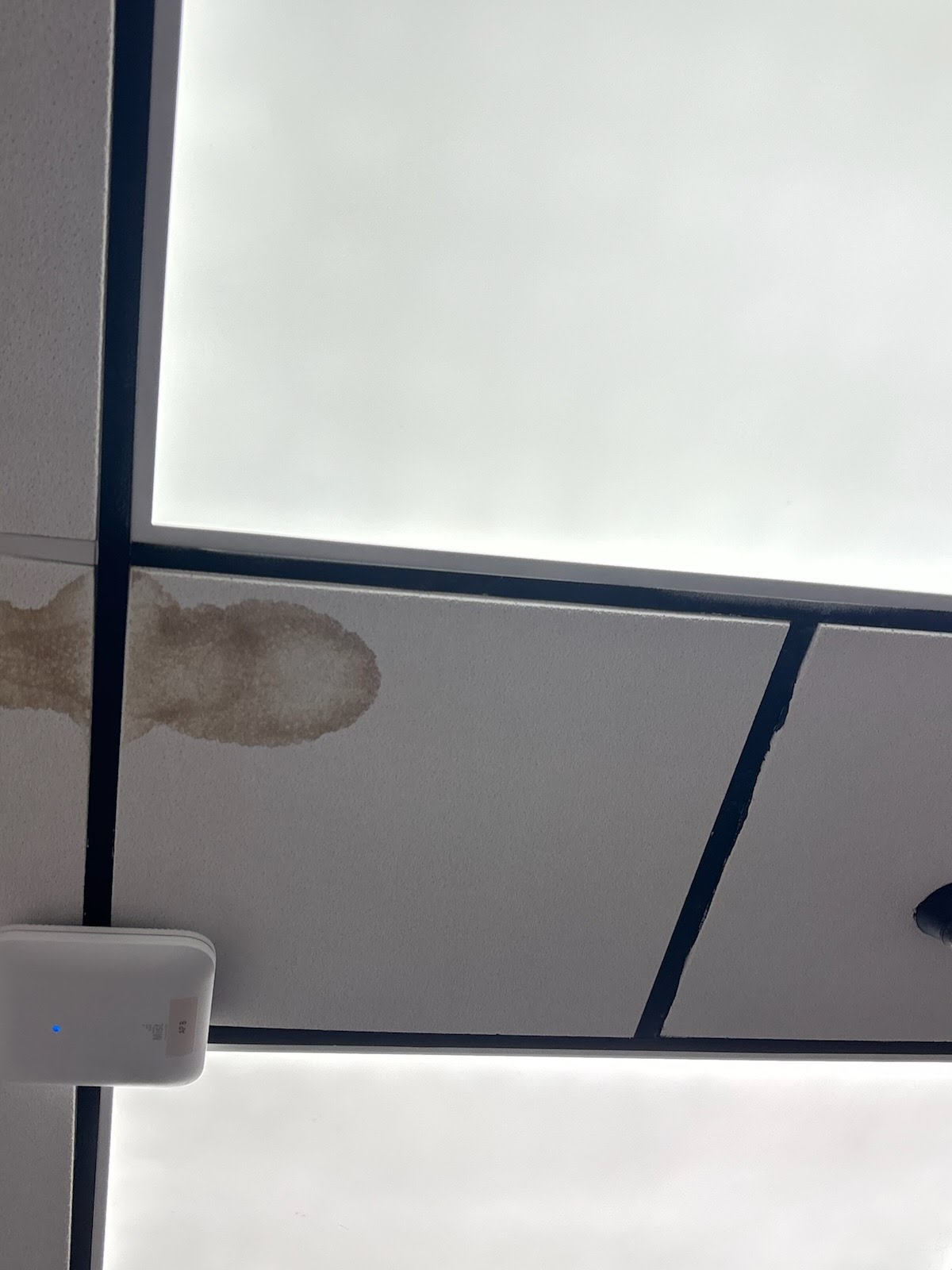 Ceilings project photo