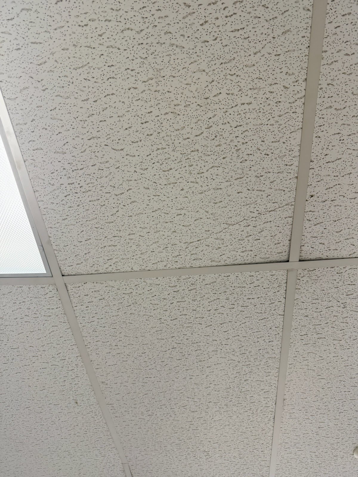 Ceilings project photo