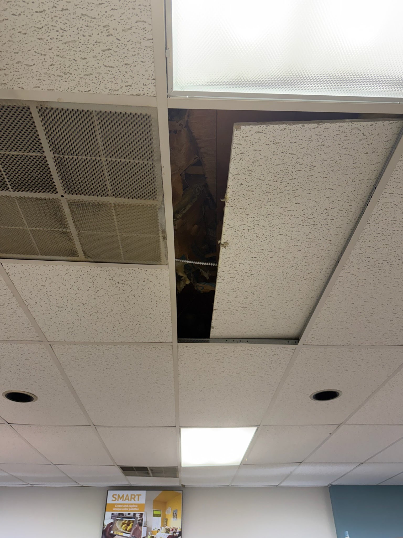 Ceilings project photo