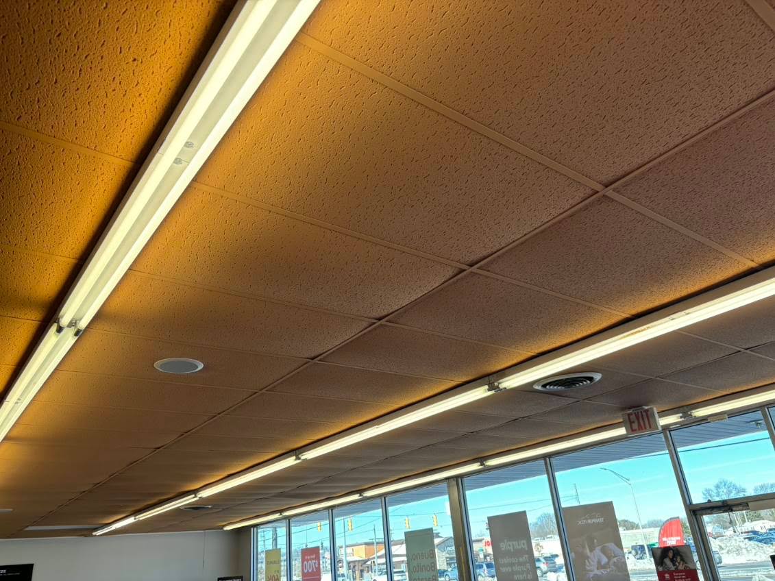 Ceilings project photo