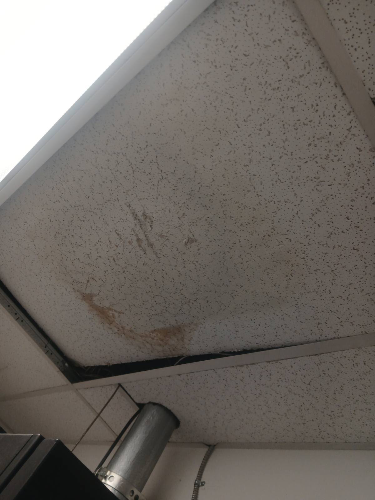 Ceilings project photo
