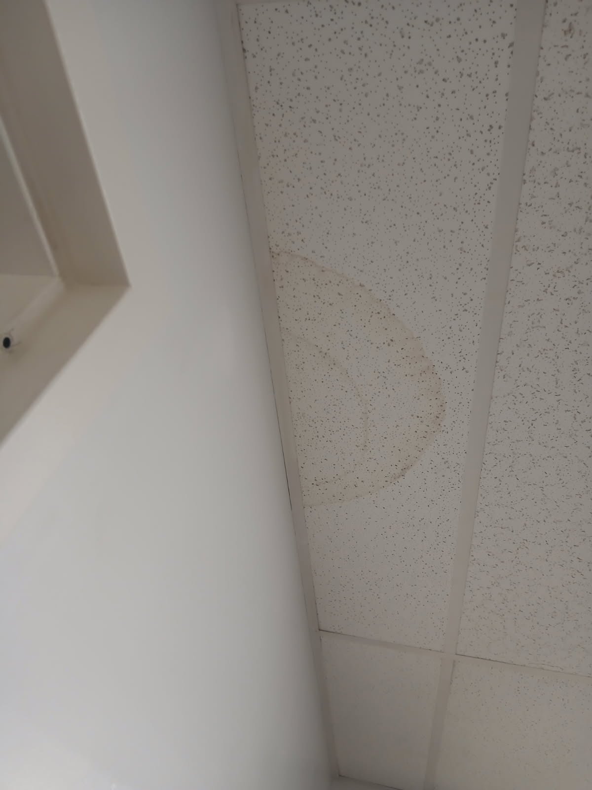 Ceilings project photo