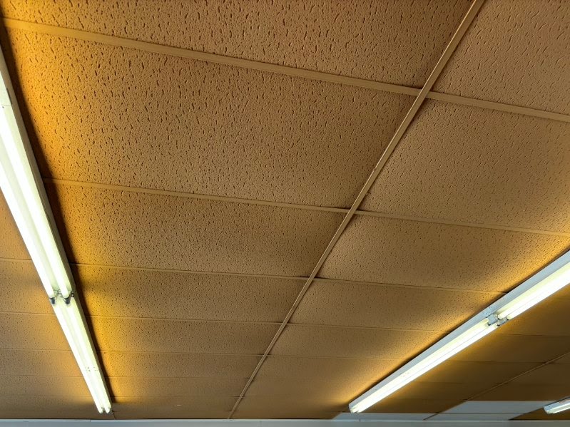 Ceilings project photo