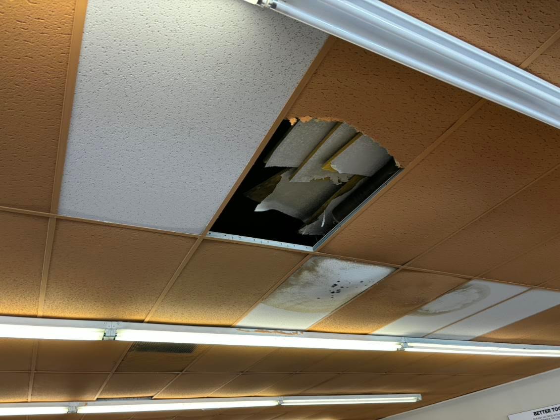 Ceilings project photo