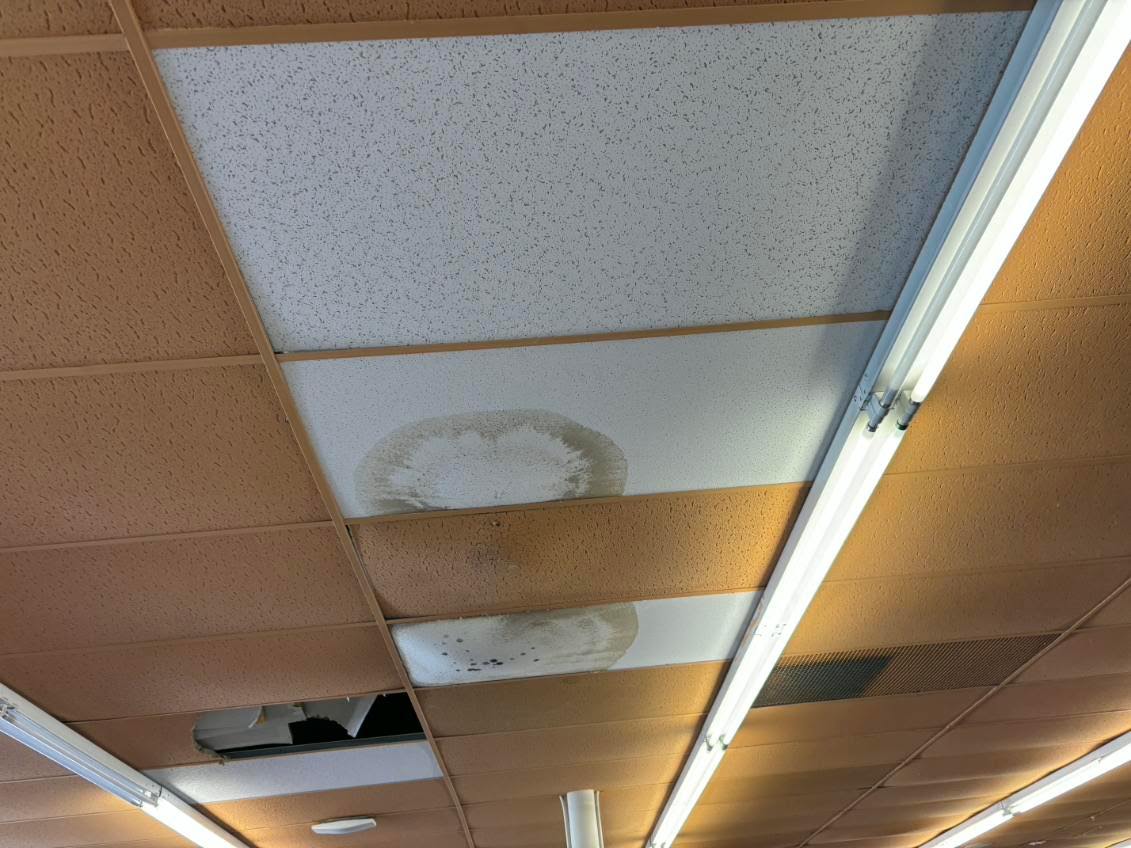 Ceilings project photo