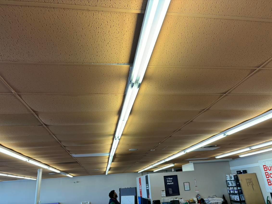Ceilings project photo