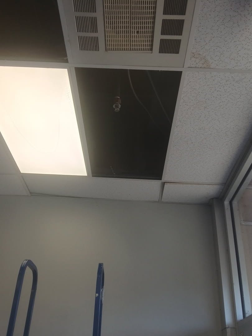 Ceilings project photo