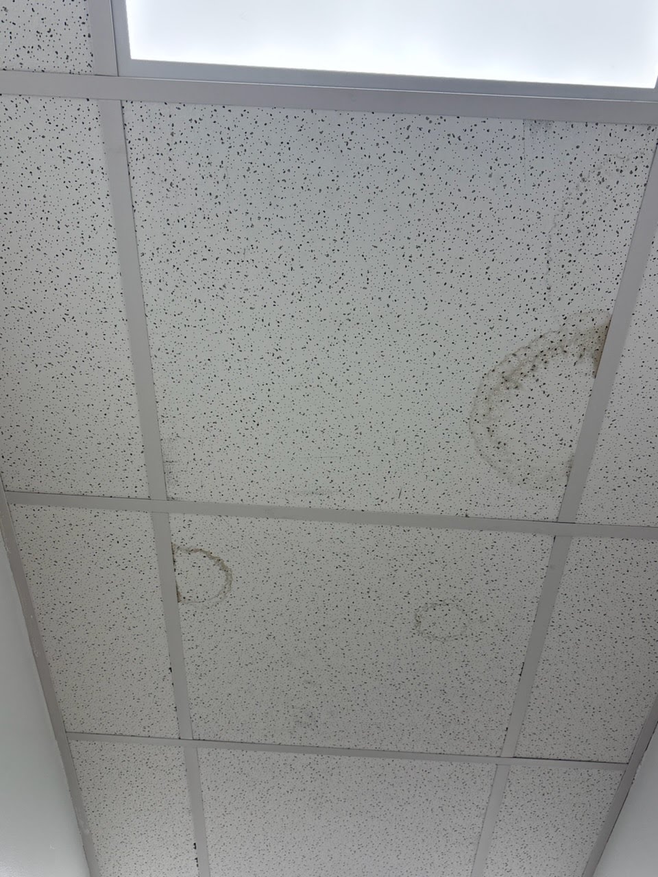 Ceilings project photo