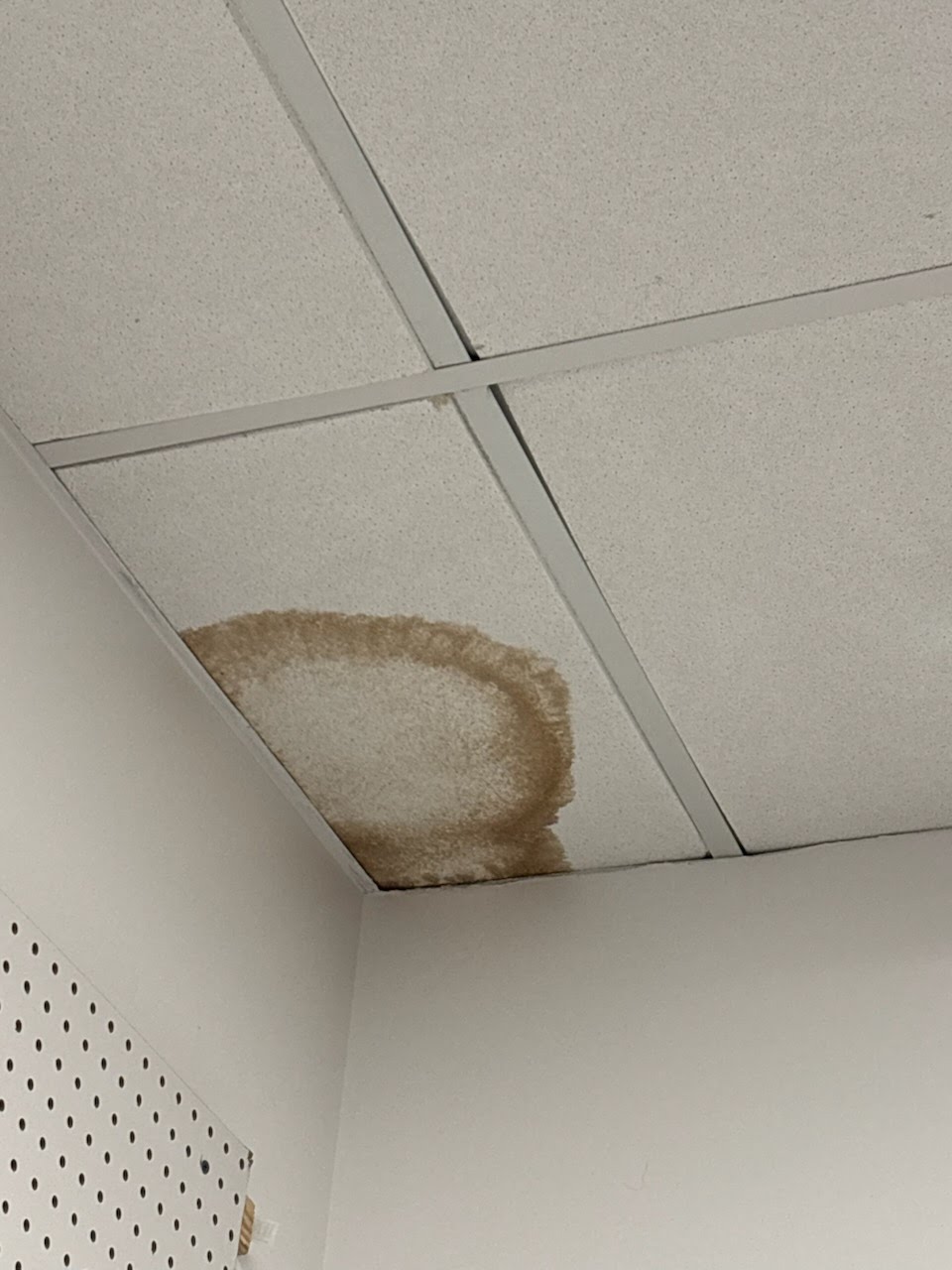 Ceilings project photo