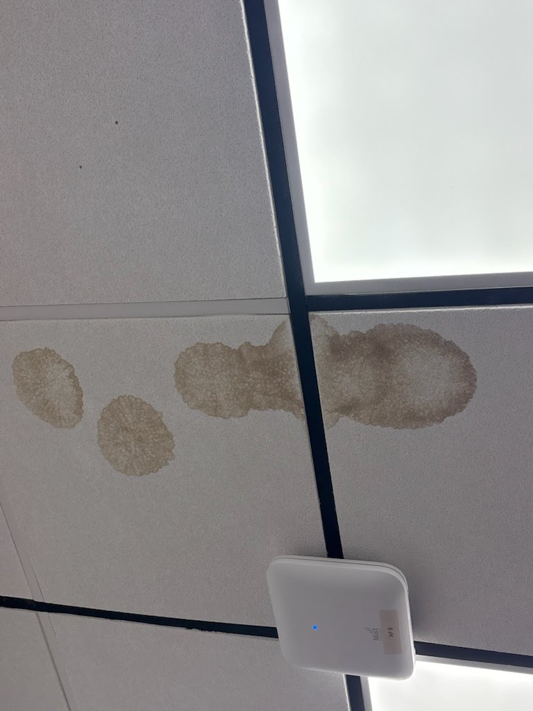 Ceilings project photo