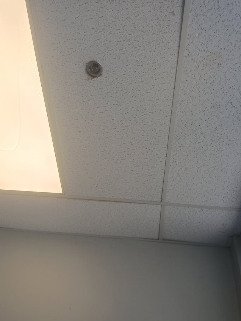 Ceilings project photo