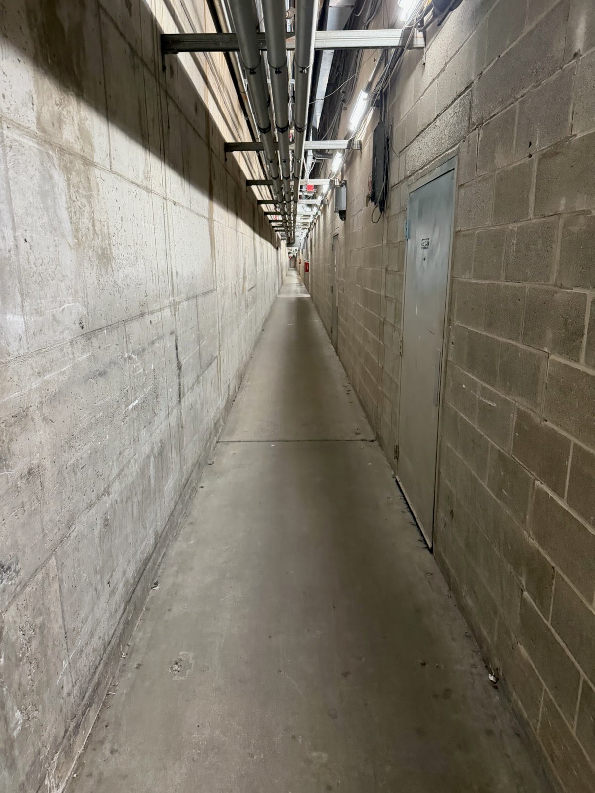 Cleaning & Water Damage project photo