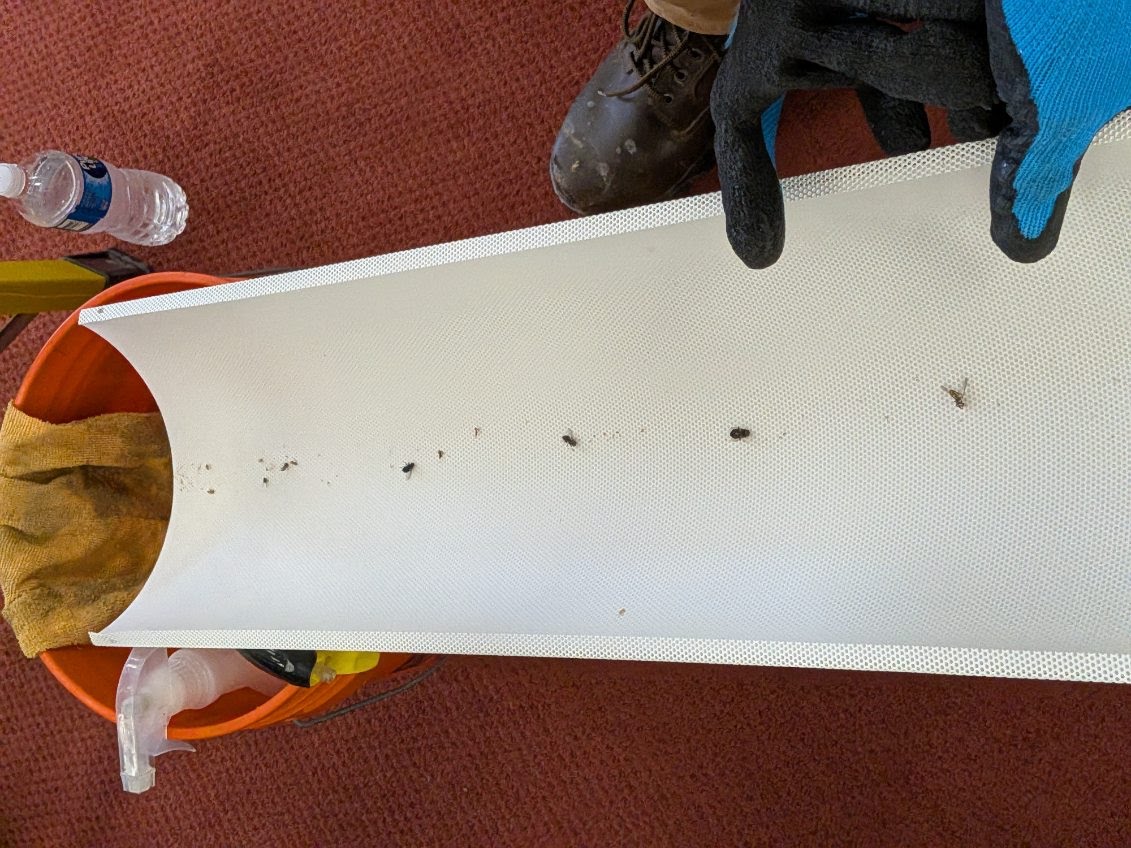 Cleaning & Water Damage project photo