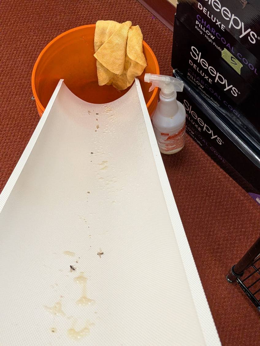 Cleaning & Water Damage project photo