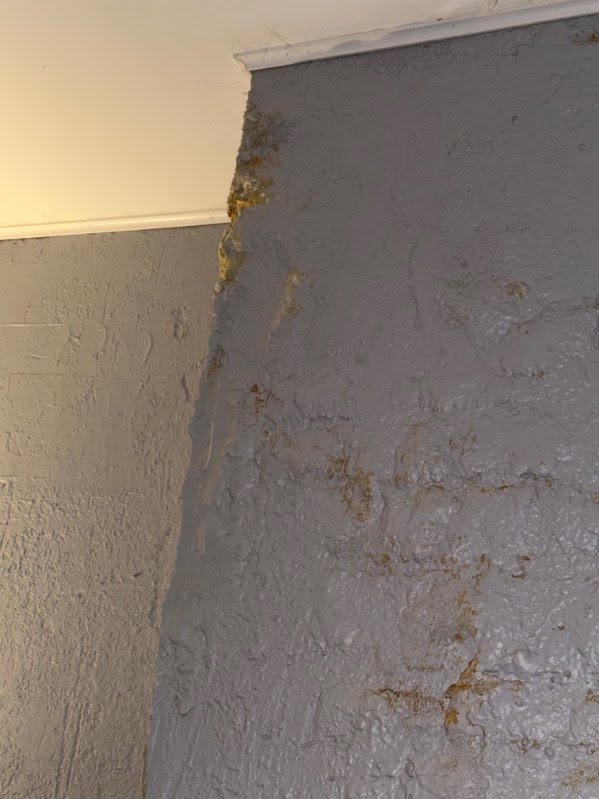 Cleaning & Water Damage project photo