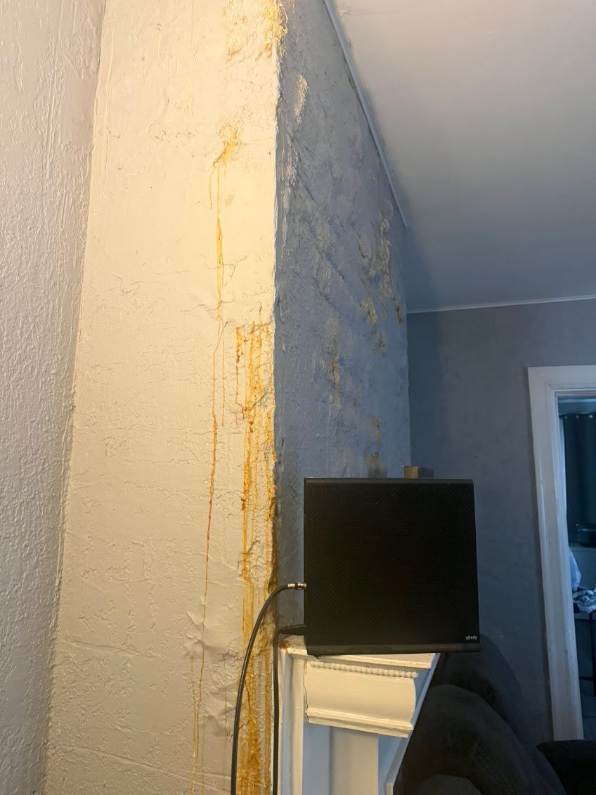 Cleaning & Water Damage project photo