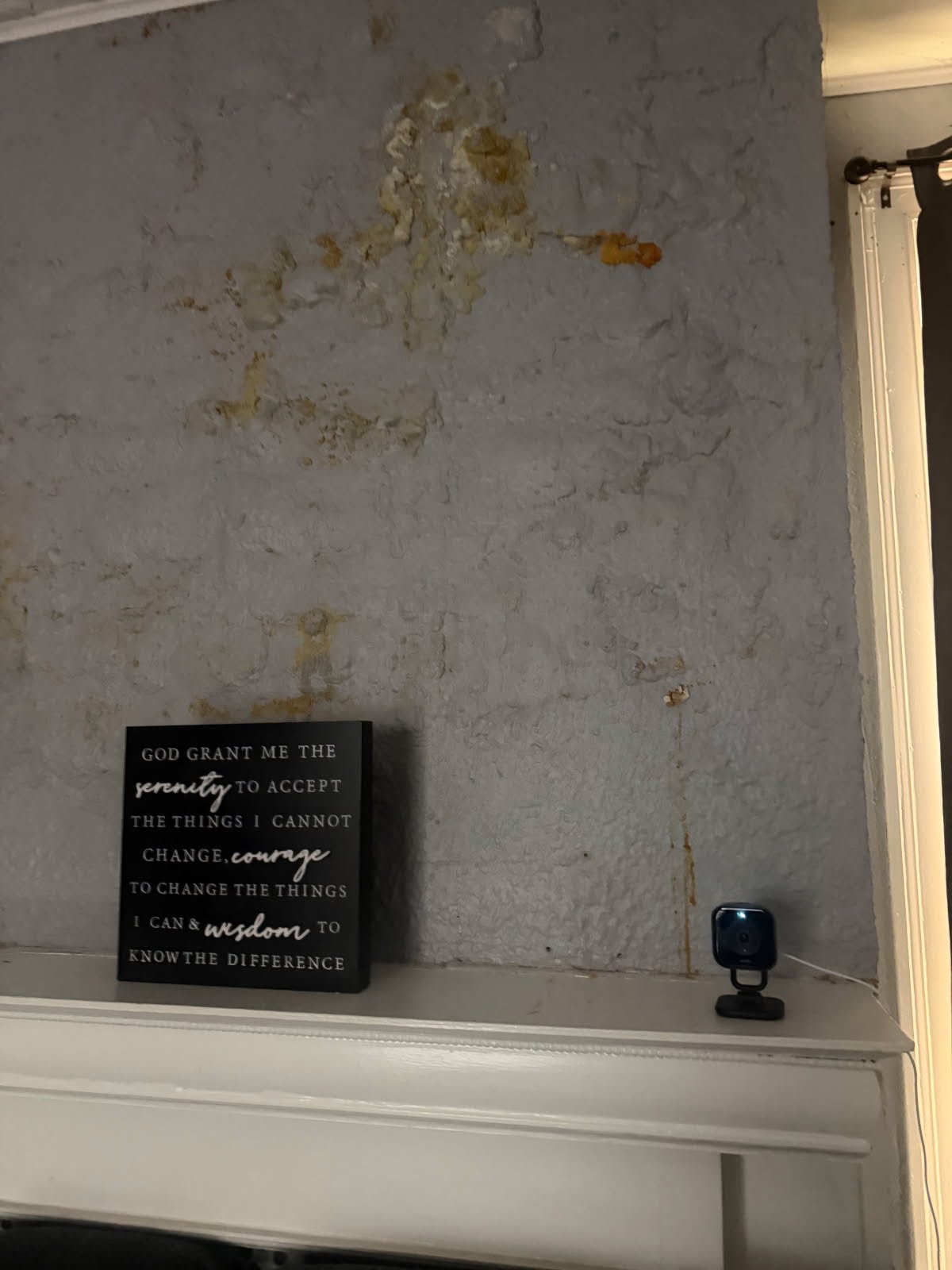 Cleaning & Water Damage project photo