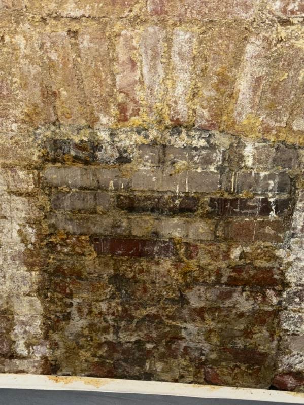 Cleaning & Water Damage project photo