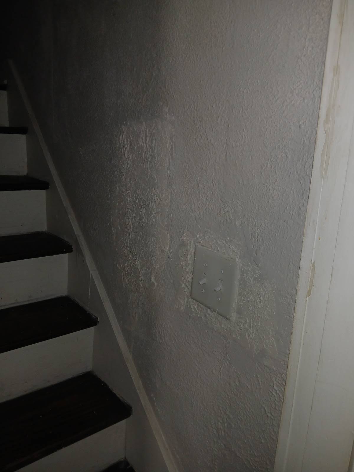 Drywall & Paint project photo