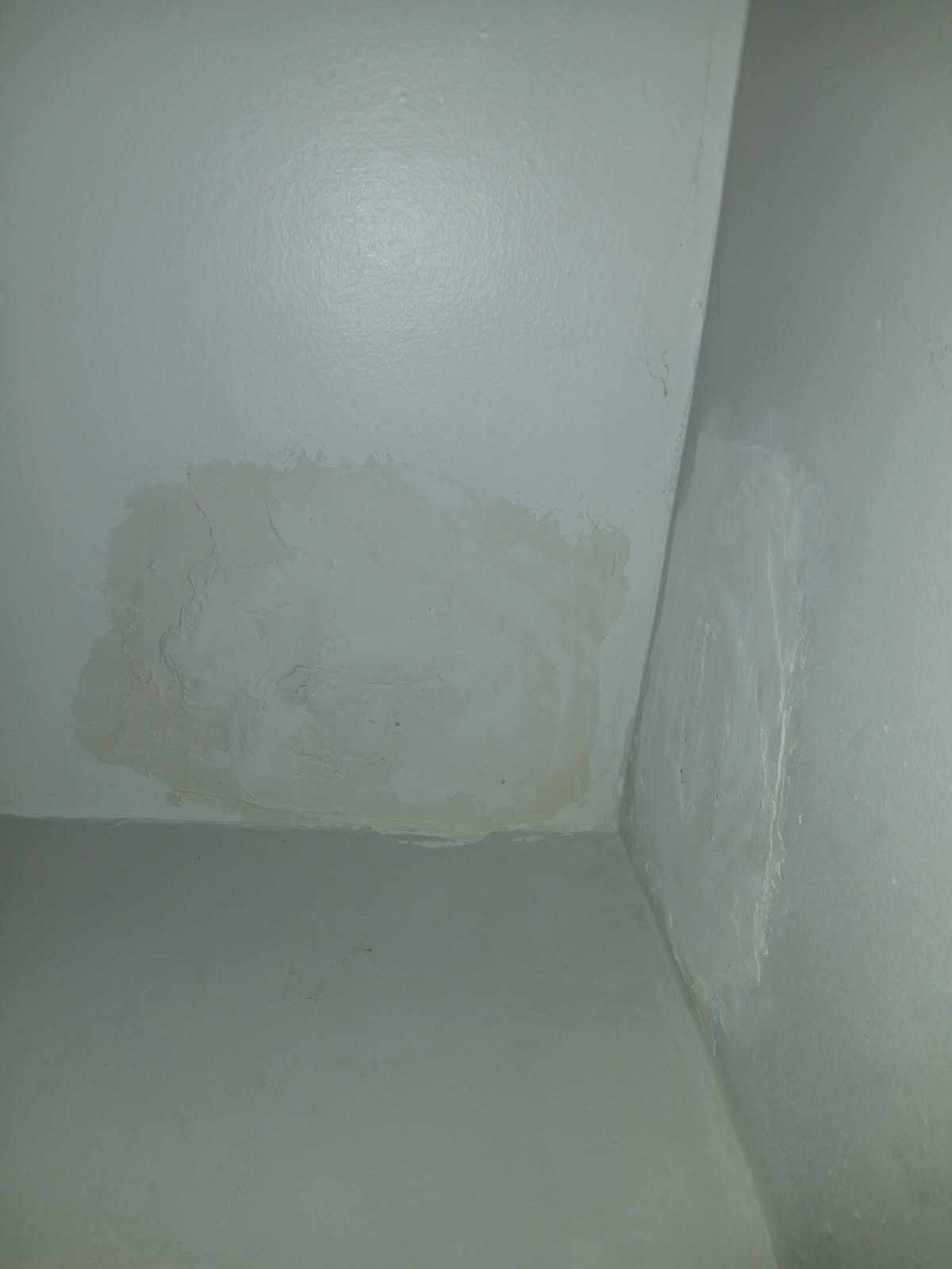 Drywall & Paint project photo