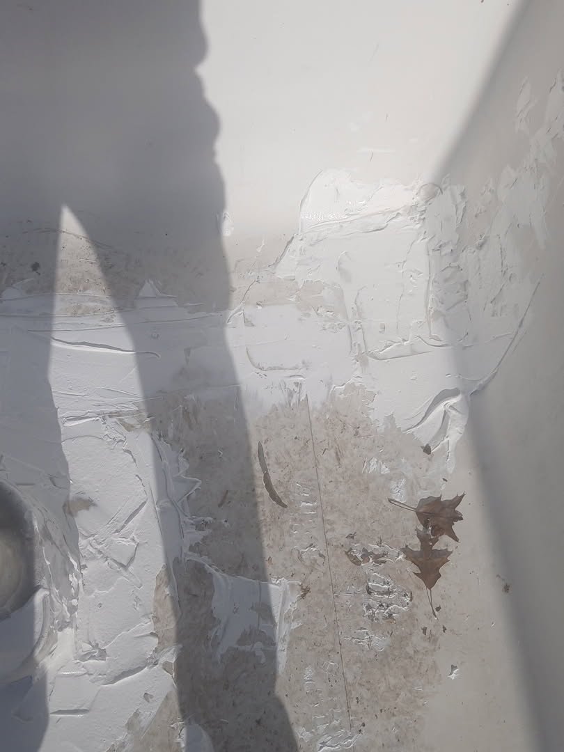 Drywall & Paint project photo