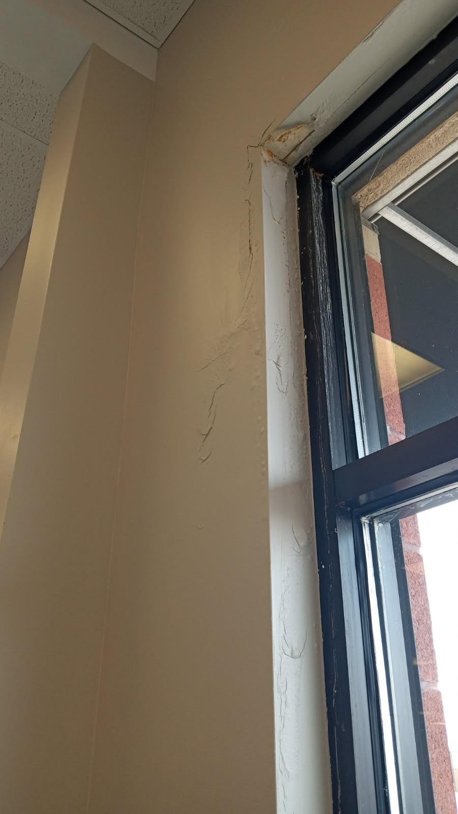Drywall & Paint project photo