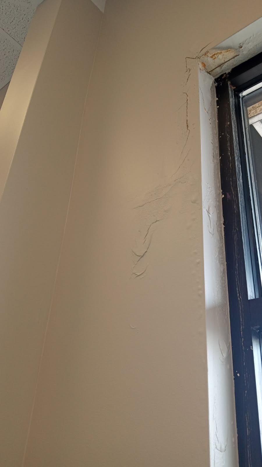 Drywall & Paint project photo