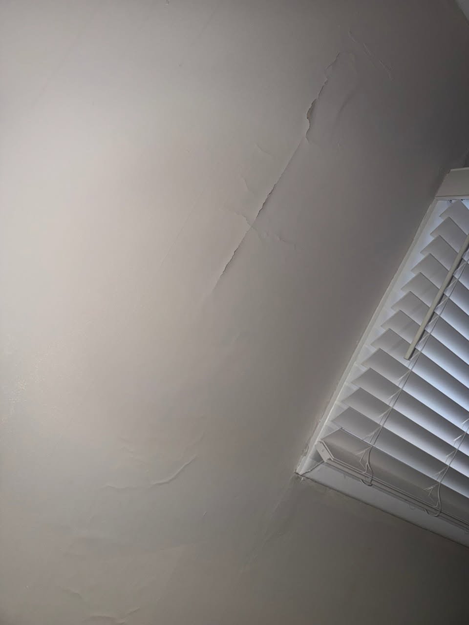 Drywall & Paint project photo