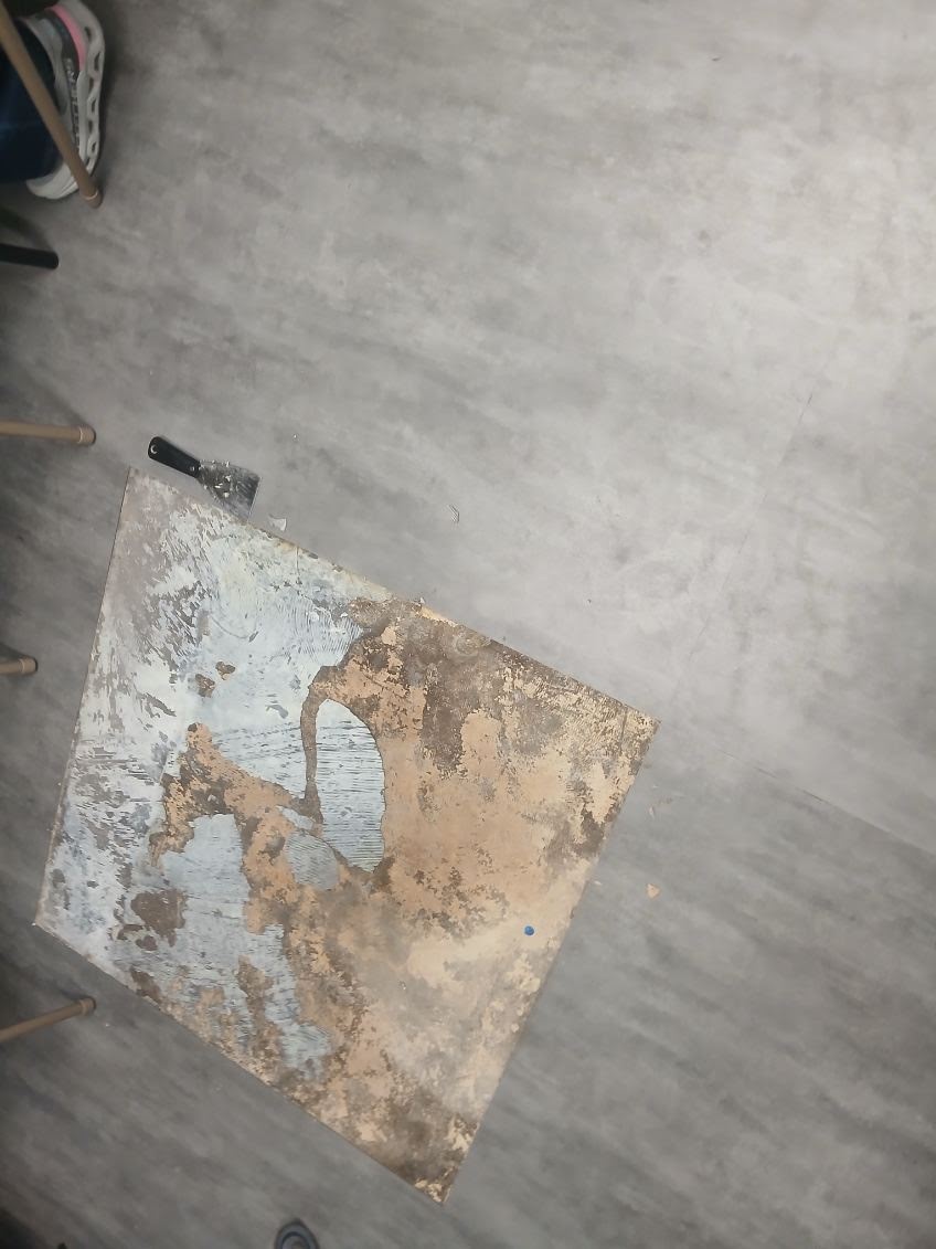 Flooring project photo 9
