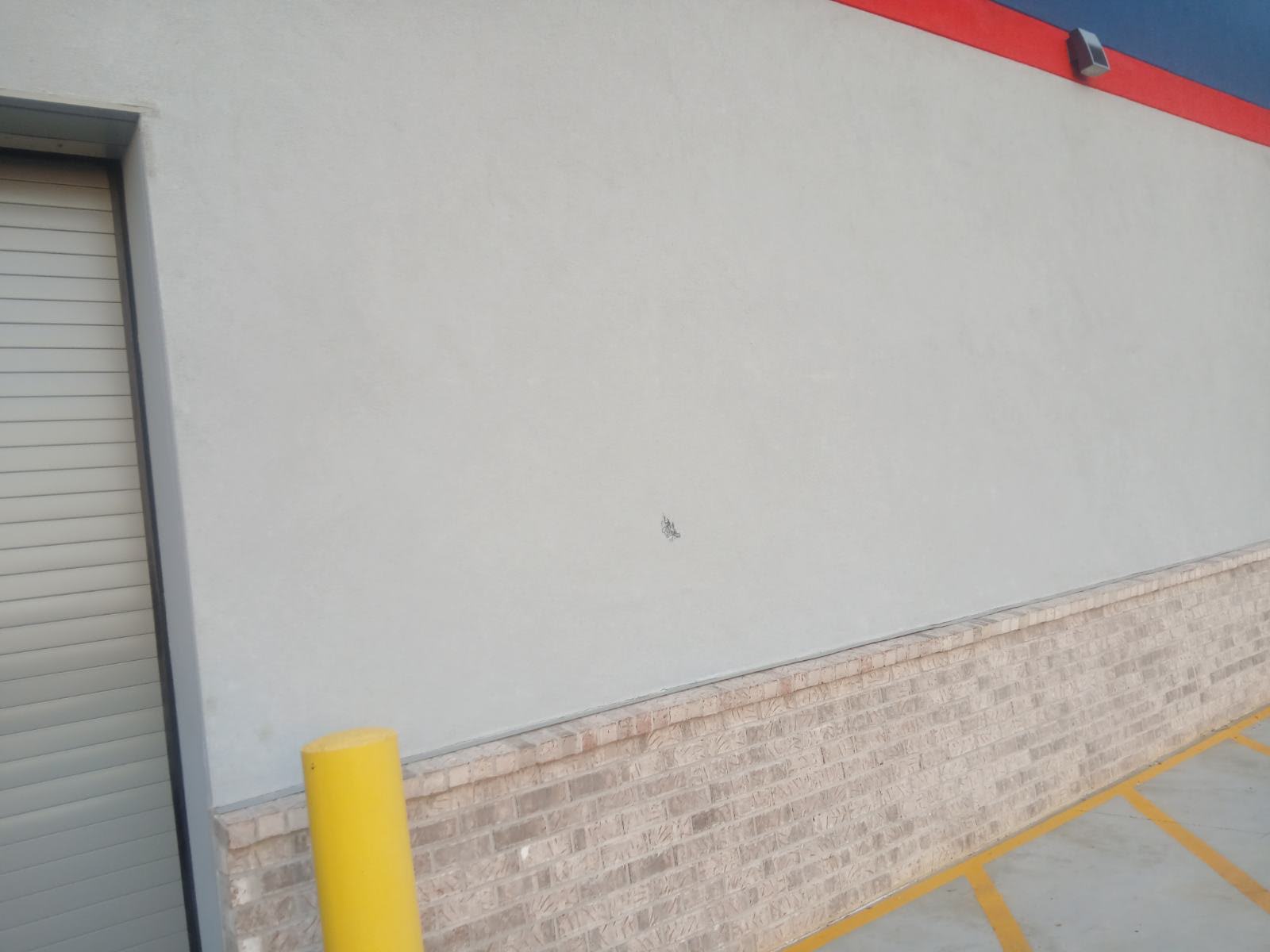 Pressure Washing & Exterior project photo