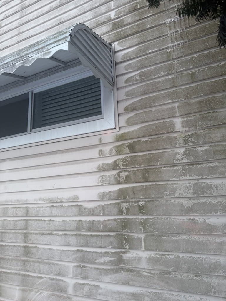 Pressure Washing & Exterior project photo
