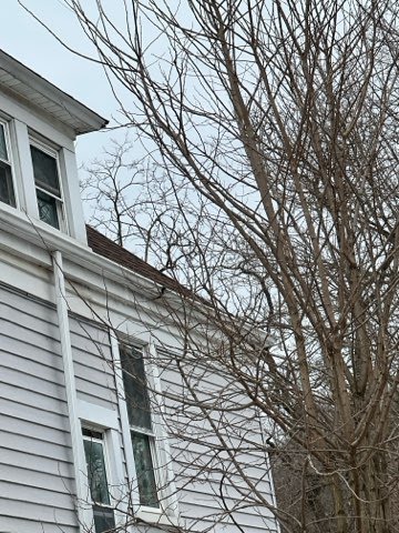 Pressure Washing & Exterior project photo